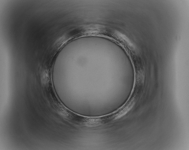 X0000116141353200911231303