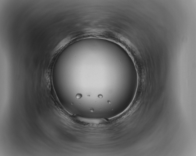 X0000116141354200911231303