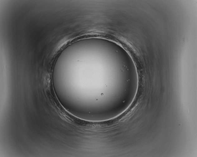 X0000116141355200911231303