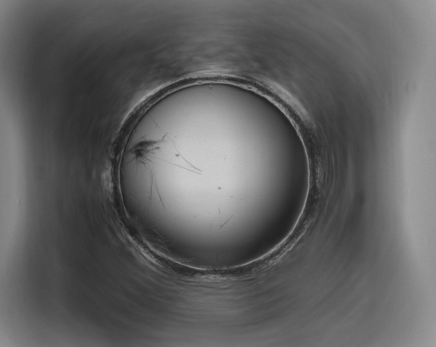 X0000116141356200911231302