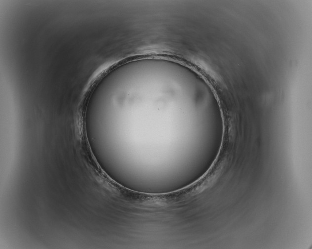 X0000116141358200911231302