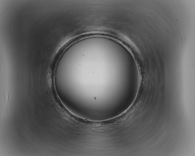 X0000116141360200911231302