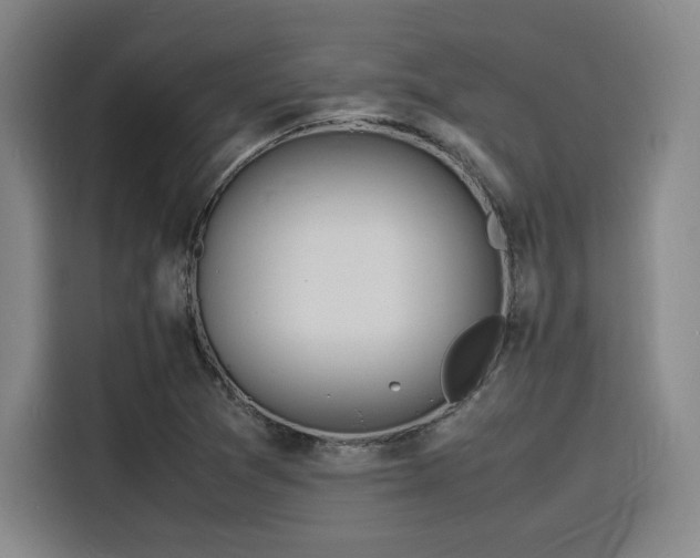 X0000116141361200911231302