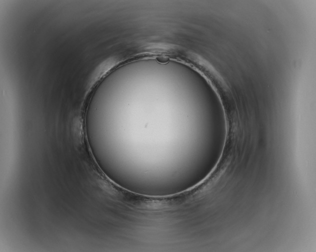 X0000116141362200911231302
