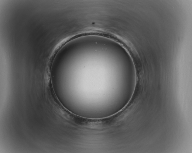 X0000116141363200911231302