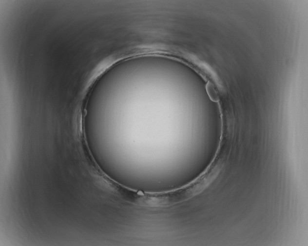 X0000116141365200911231302