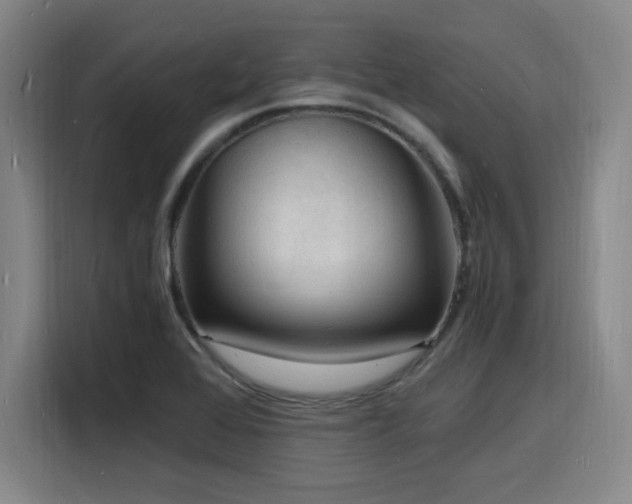 X0000116141368200911231302