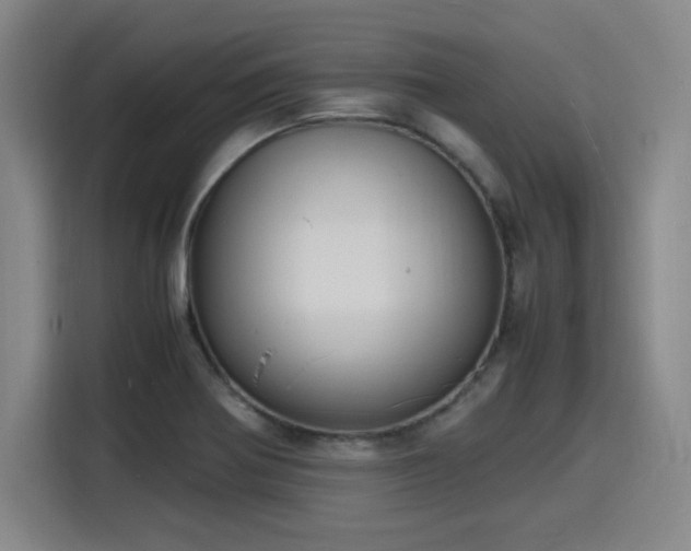 X0000116141370200911231302