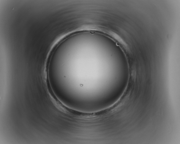 X0000116141372200911231302