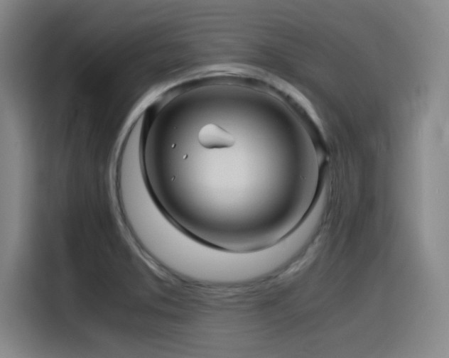 X0000116141373200911231302