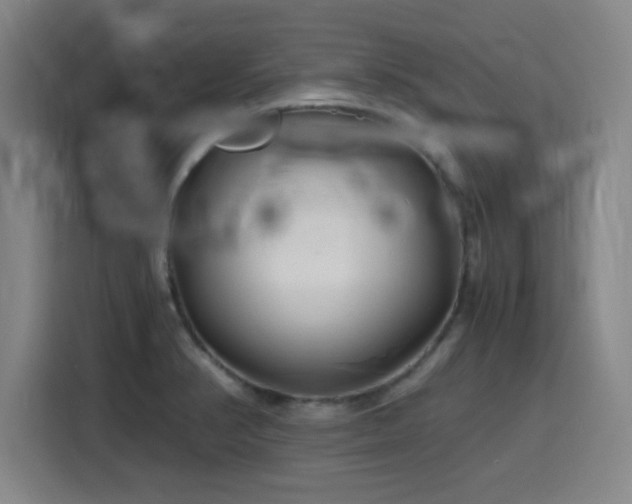 X0000116141374200911231302
