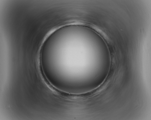 X0000116141375200911231302