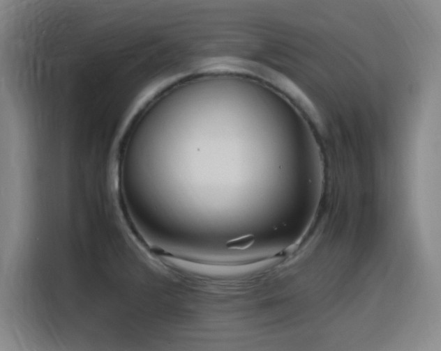 X0000116141376200911231302
