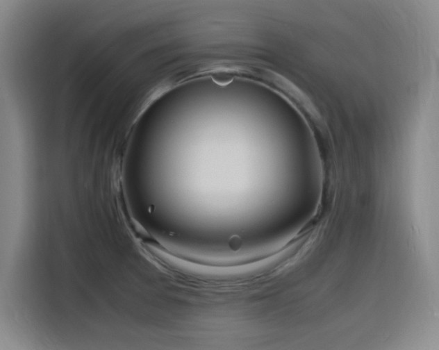 X0000116141377200911231302