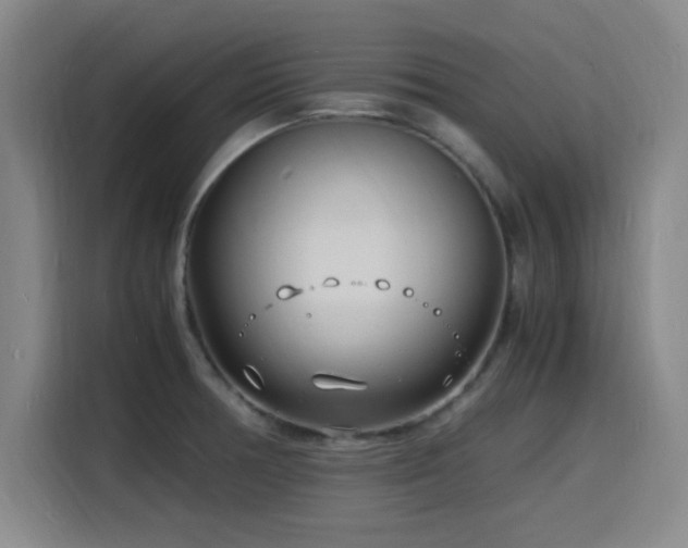 X0000116141378200911231302