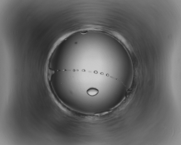 X0000116141379200911231302