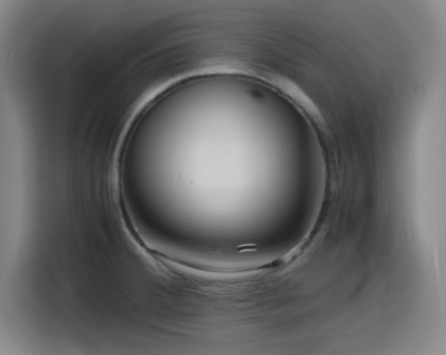 X0000116141380200911231302