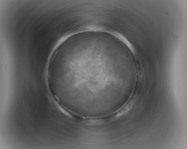 X0000116141381200911231302