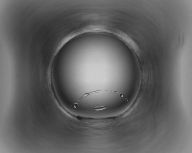 X0000116141382200911231302