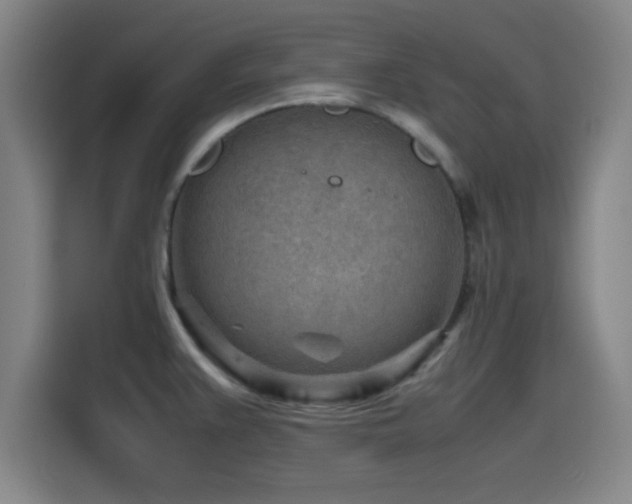 X0000116141383200911231302