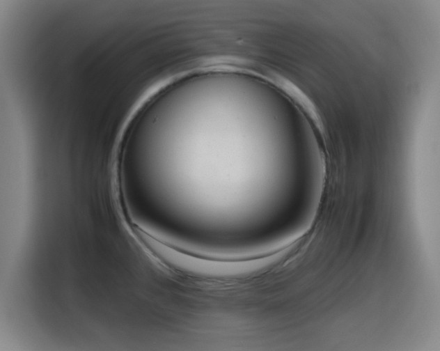 X0000116141384200911231302