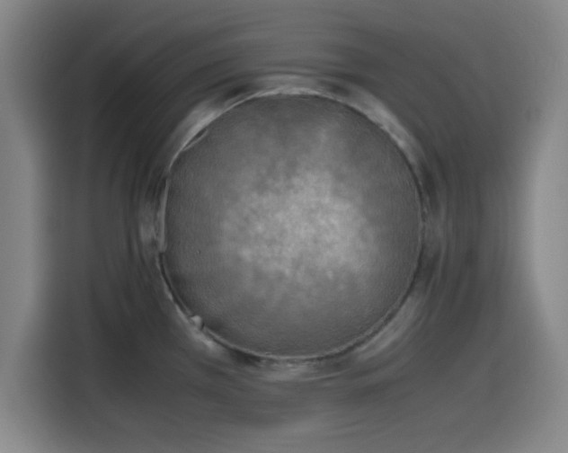 X0000116141385200911231302