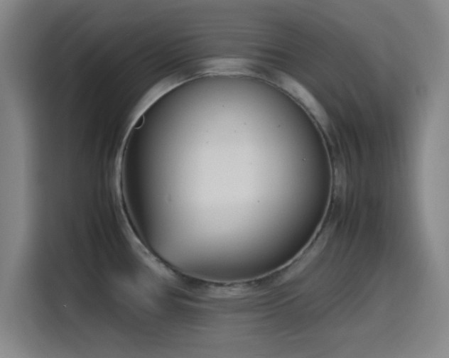 X0000116141386200911231302