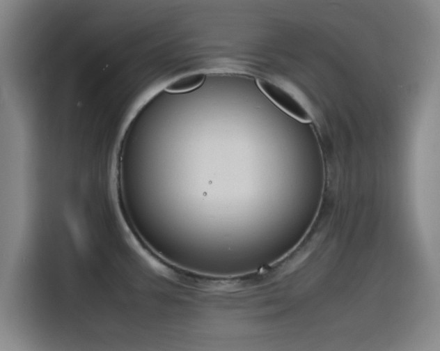 X0000116141387200911231302
