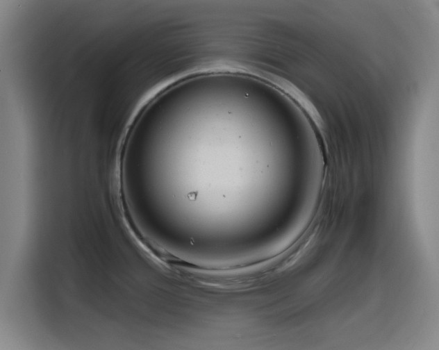 X0000116141388200911231302