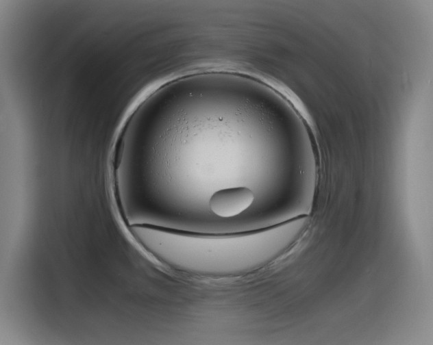 X0000116141389200911231302