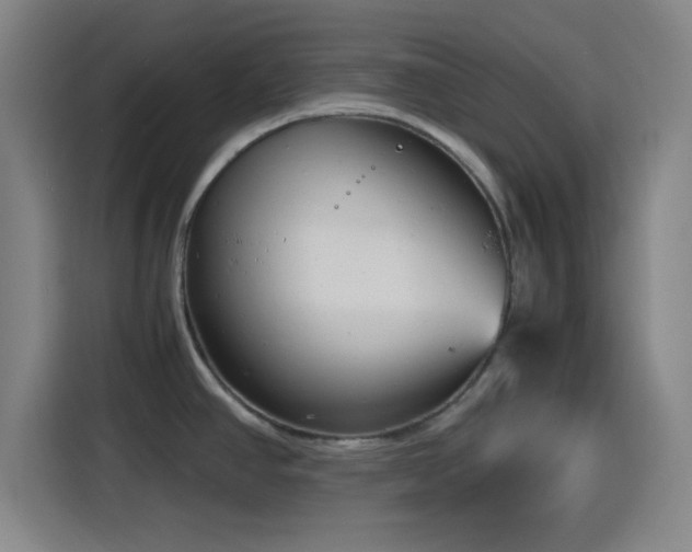 X0000116141390200911231302