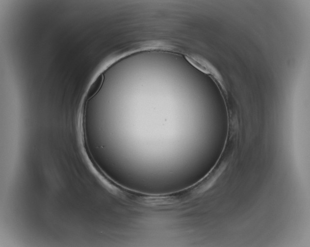 X0000116141391200911231302