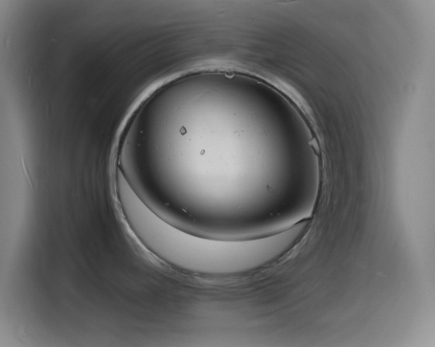 X0000116141392200911231302