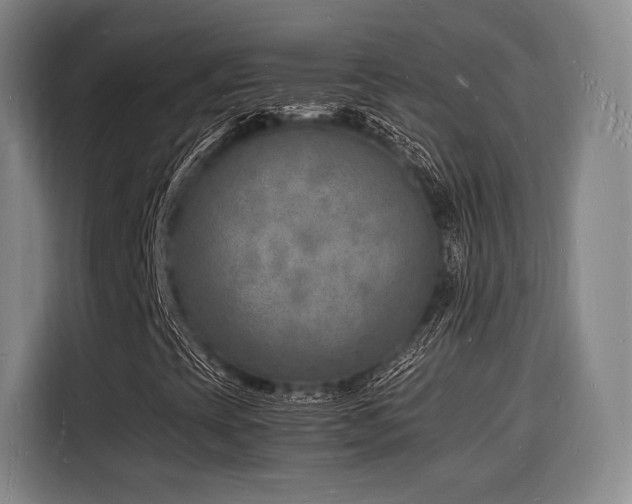 X0000116141393200911231301