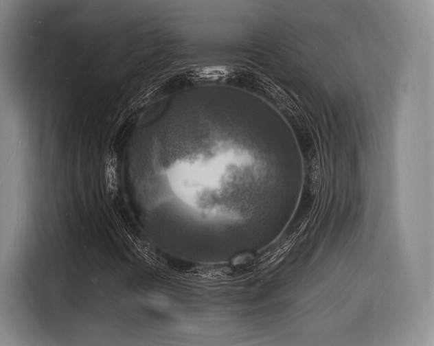 X0000116141394200911231301