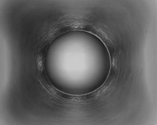 X0000116141396200911231301