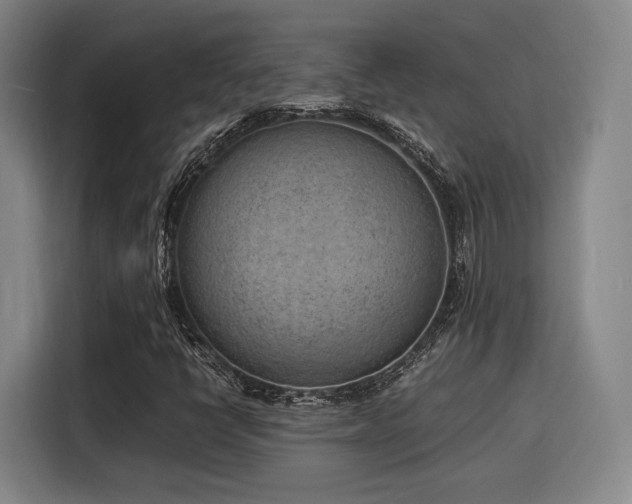 X0000116141398200911231301