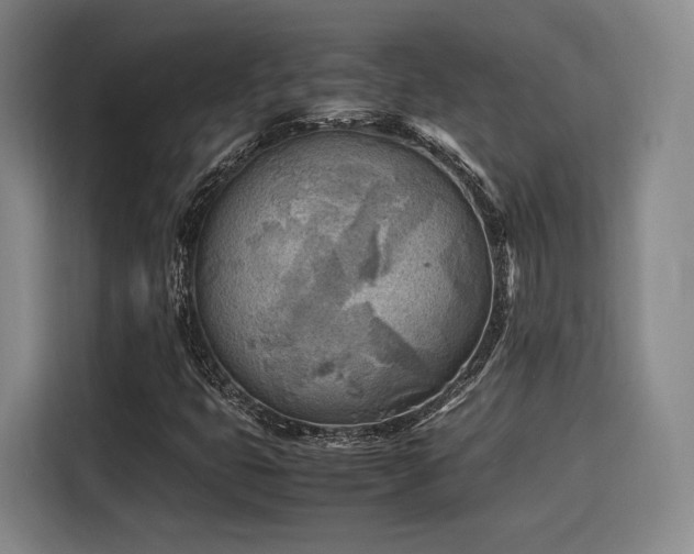 X0000116141399200911231301