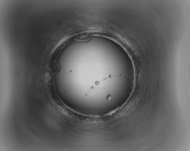 X0000116141400200911231301