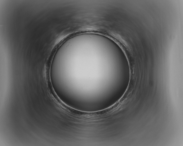 X0000116141404200911231302