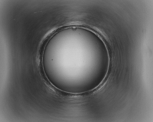 X0000116141406200911231302