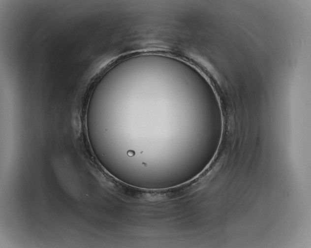X0000116141407200911231302