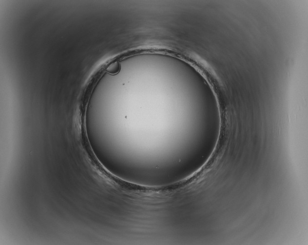 X0000116141408200911231302