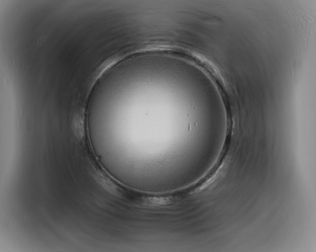 X0000116141409200911231302