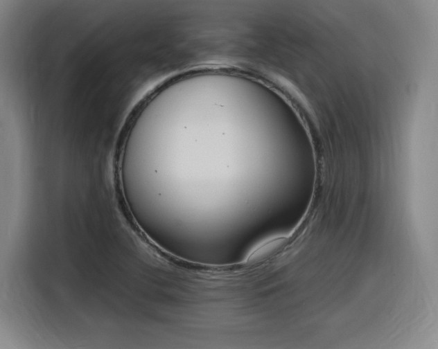 X0000116141412200911231302