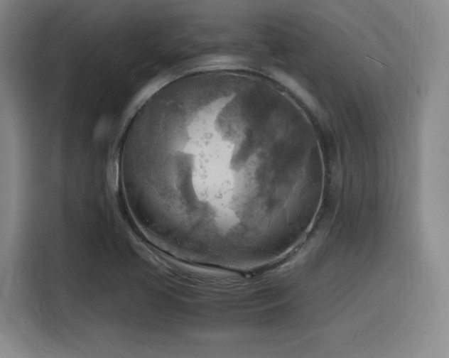 X0000116141413200911231302