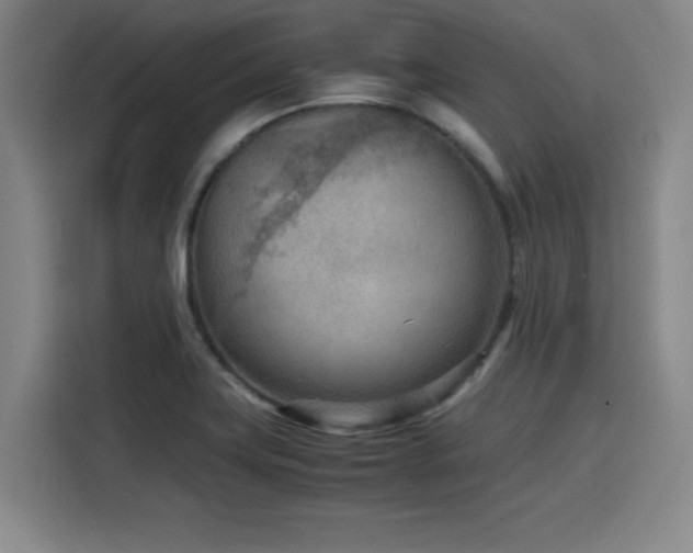 X0000116141419200911231302