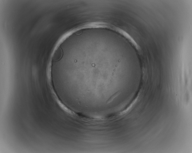 X0000116141421200911231302