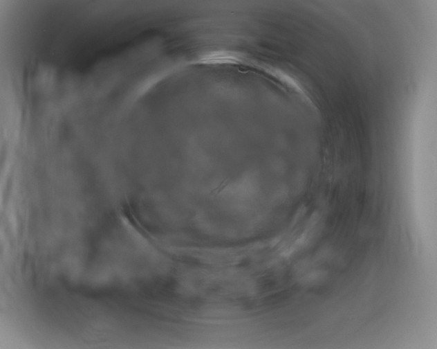 X0000116141422200911231302