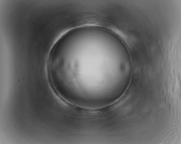 X0000116141423200911231302